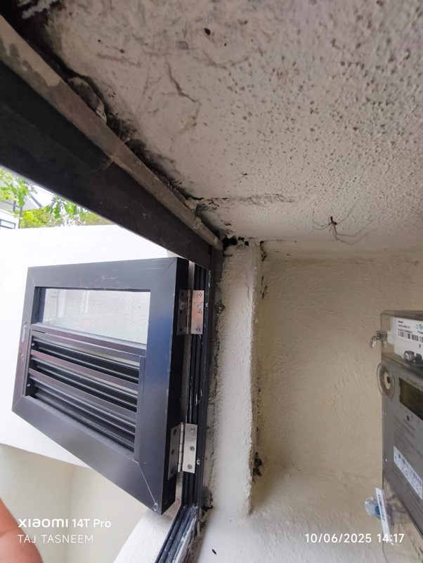 Poor Workmanship and Finishing Defects - Example 5