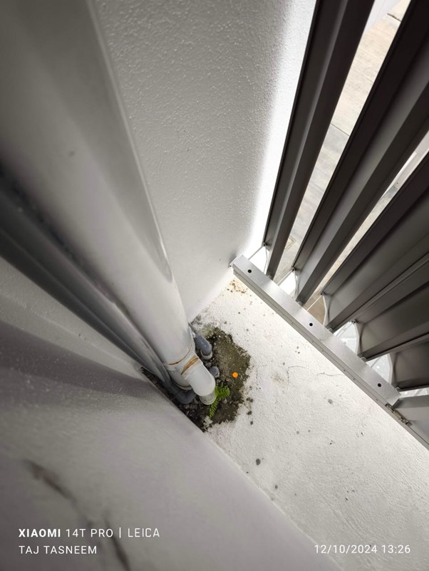 Poor Workmanship and Finishing Defects - Example 7